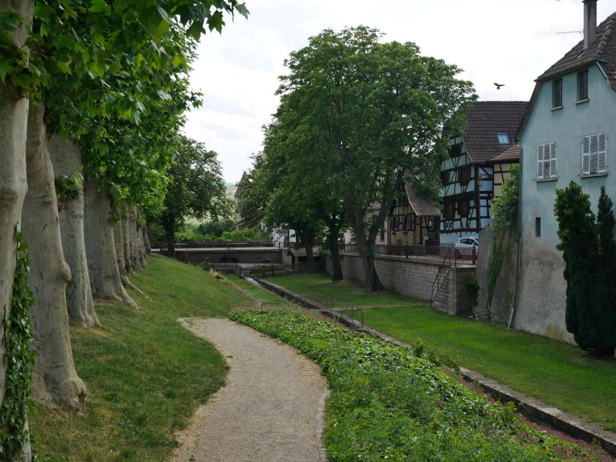 La Cour St-Fulrad - Les Suites Saint-Hippolyte  Exteriér fotografie